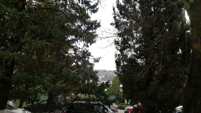 Очаровательная осень в Сочи. смотреть онлайн