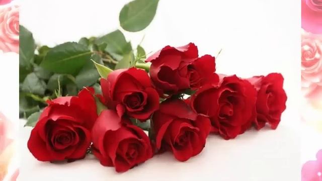 С ДНЕМ РОЖДЕНИЯ!!! смотреть онлайн