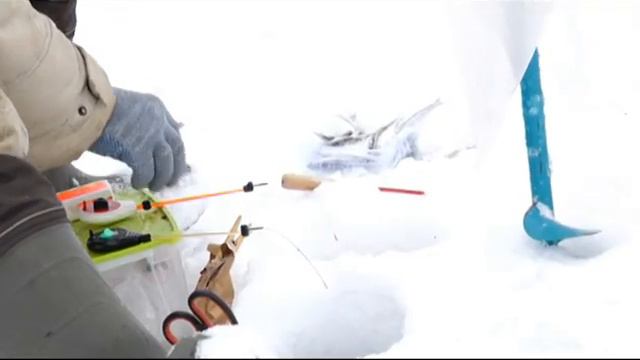 турнир по зимней рыбалке Кулыжская фишка 2017 смотреть онлайн