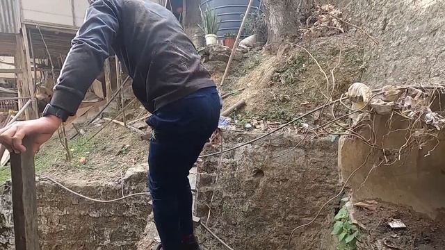Rul vanga harsatna 2023 смотреть онлайн