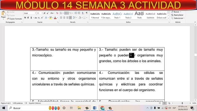 MÓDULO 14 SEMANA 3 ACTIVIDAD INTEGRADORA 5 смотреть онлайн