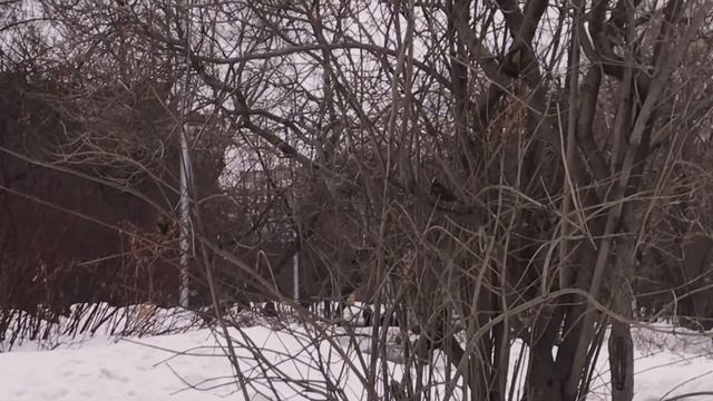36. отчаяние, отчужденность и эмоциональное выгорание смотреть онлайн