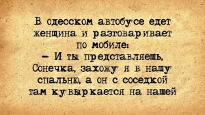 ✡️ Сонечка! Еврейские Анекдоты! Анекдоты про Евреев! Выпуск #35