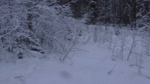 Снегоход Стелс Капитан 150 Первая крупная поломка