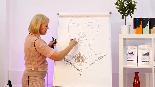 14/04 15:00 Классический мономезопрепарат RUTIN + EXT.MELILOTO. Из личных архивов Селяниной смотреть онлайн