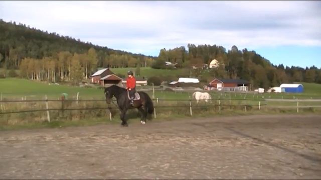 Boriz och Lovis Sep. 2013 смотреть онлайн