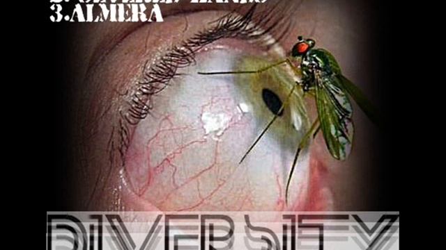 Diversity - Almera (Original Mix) смотреть онлайн