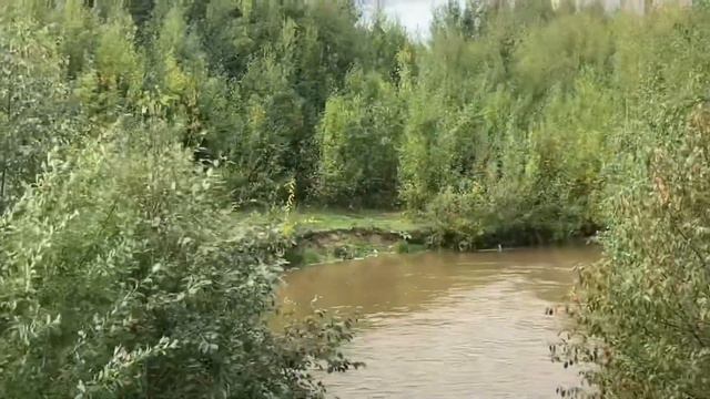 ПОДПИСЧИКИ ПОКАЗЫВАЮТ СВОЙ ВАЙБ.огромная мусорка,мужик с ножом, болотистая почва. смотреть онлайн