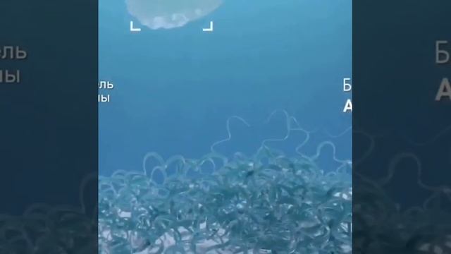 Концентрированный стиральный порошок от Faberlic ???? смотреть онлайн
