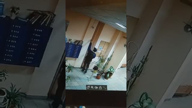 Кража велосипеда ул.Руданского Киев 02.10.2020 смотреть онлайн