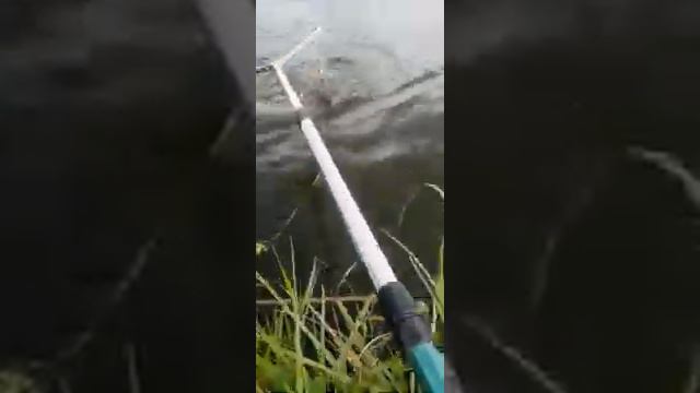 Рыбалка в курской области смотреть онлайн