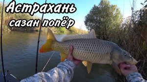 Ловля сазана на простую снасть макуха. Рыбалка в Астрахани.