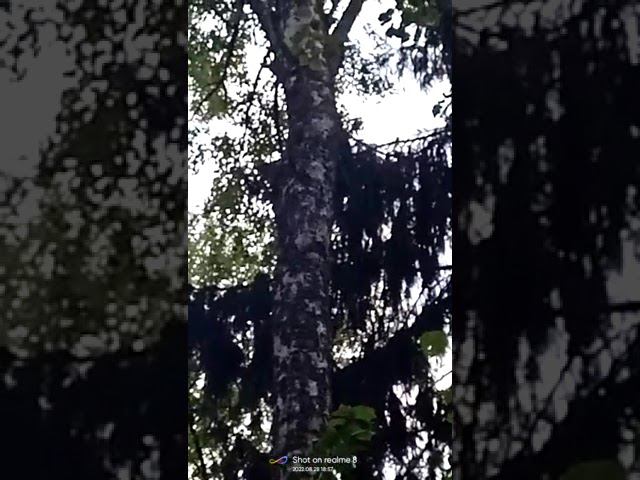 28 августа 2022 г. смотреть онлайн