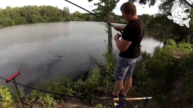 Карась на манку. Ловля ЗОЛОТОГО Карася на поплавочную удочку | Летняя ловля рыбы | ВОТ ЭТО КЛЕВ! смотреть онлайн