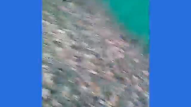 Доги это догонялки! смотреть онлайн