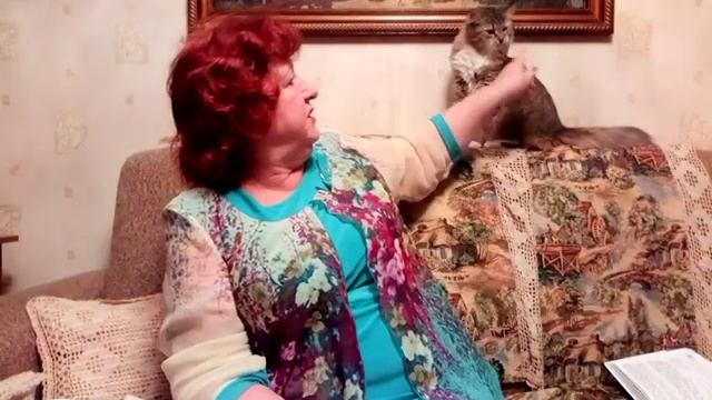 Русский язык 5а Виды глаголов смотреть онлайн