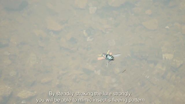 Lures In Motion - Realis Shinmushi & Koshinmushi смотреть онлайн