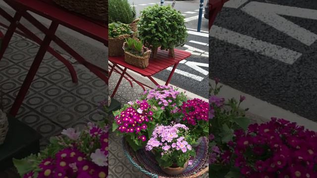 just wow 🥰💕 смотреть онлайн