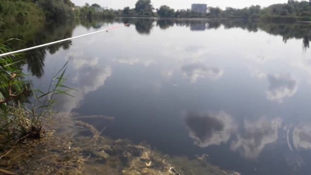 Анапа, рыбалка на реке Анапка смотреть онлайн