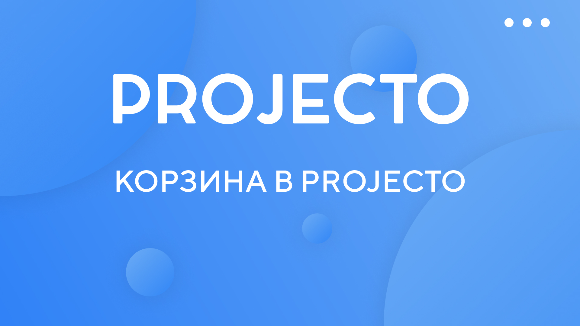 Корзина в Projecto
