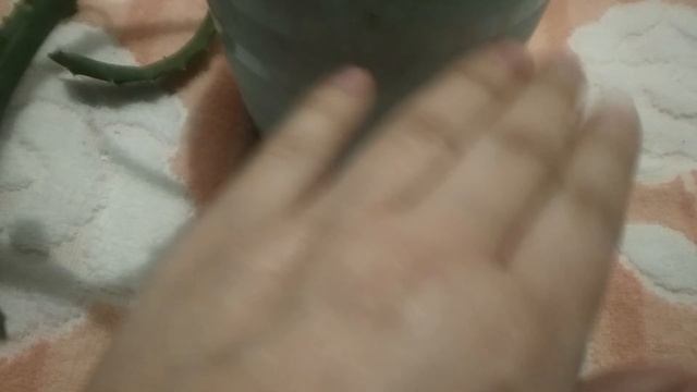 Натуральное омолаживающее средство... смотреть онлайн