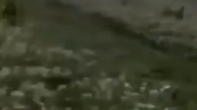 В горах Китая засняли дракона! Звуки страшные смотрим смотреть онлайн