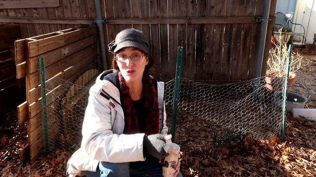 What To Do If Your Rabbits Won't Breed Like Rabbits!