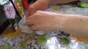 Проращивание семян на ватных косметических дисках в домашних условиях