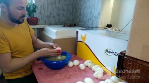 Инкубация гусиных яиц. Кубанские гуси.