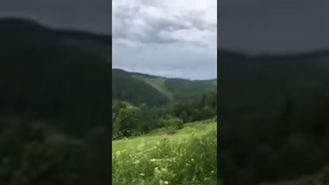 Природа Карпат (с мотоцикла) смотреть онлайн