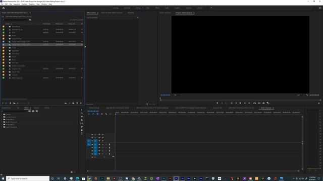 2021 How to Add WEMB Support to Premiere Pro CC & Media Encoder смотреть онлайн