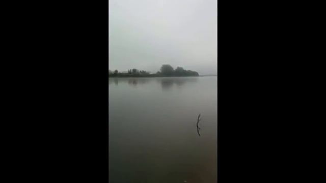 Обычный день в Тюмени смотреть онлайн