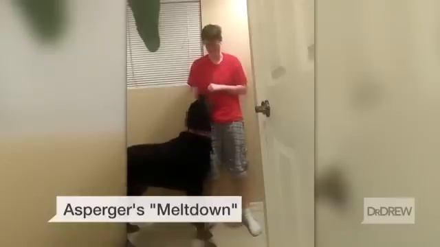 Watch: Service dog alerts self-harm during 'meltdown' смотреть онлайн