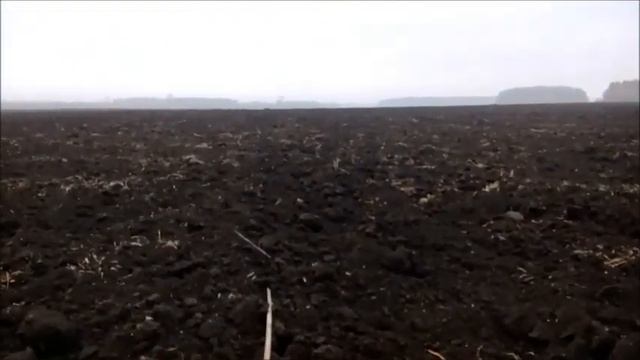 Копаем полтораки смотреть онлайн