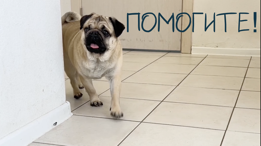 КТО-ТО ПОХИТИЛ ДЖОНИ ? смотреть онлайн