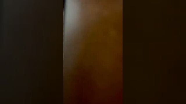 Напольные механические элитные часы Hermle 01210-031171 (Германия) с боем, маятником и мелодией смотреть онлайн