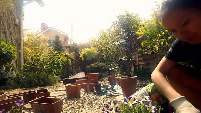 What Kind Of Flowers To Make Your Garden Beautiful? смотреть онлайн