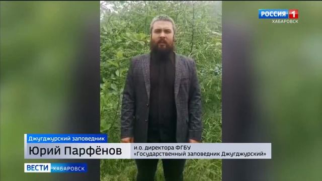 Повышение класса пожарной опасности прогнозируют синоптики в Хабаровском крае смотреть онлайн