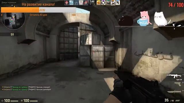 ГОВОРЯЩИЙ КОТ-СТРИМЕР ИГРАЕТ В КС ГО!!!!ВСЕ СЮДА!!!! МЯУ:3 смотреть онлайн
