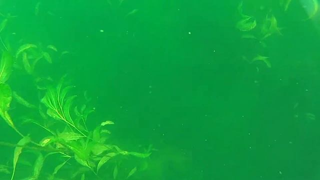 Озеро Песочное 3 смотреть онлайн