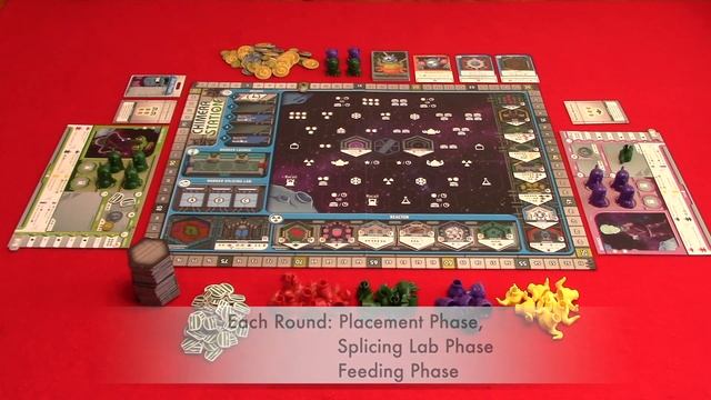 Learn to Play: Chimera Station смотреть онлайн