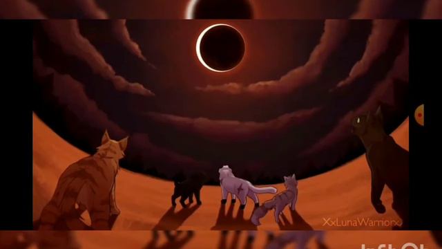 клиновница дикая пума клип