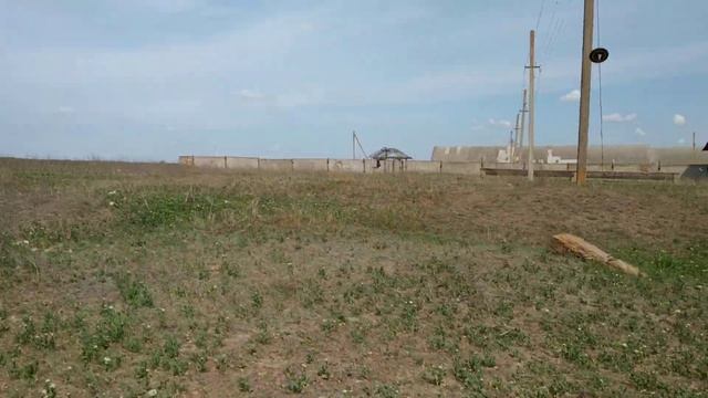 Двуколка, бричка, бедка, смотреть онлайн