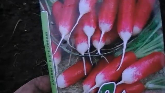 Что сажают под зиму Сад и огород выпуск 084 смотреть онлайн