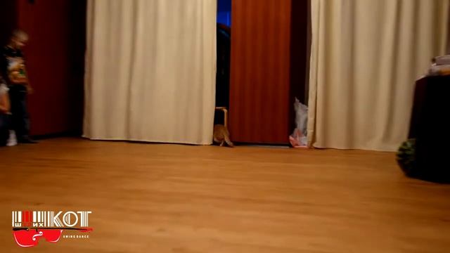 Открытие зала Штрих Кот. смотреть онлайн