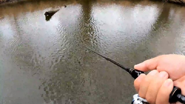 The SECRET Was In The TIP...!!! (My NEW BOWFIN PB)