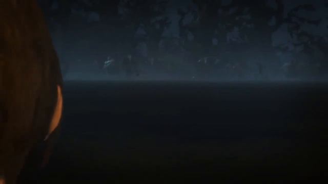 Blizzard- Diablo III- Demon Hunter Trailer HD смотреть онлайн