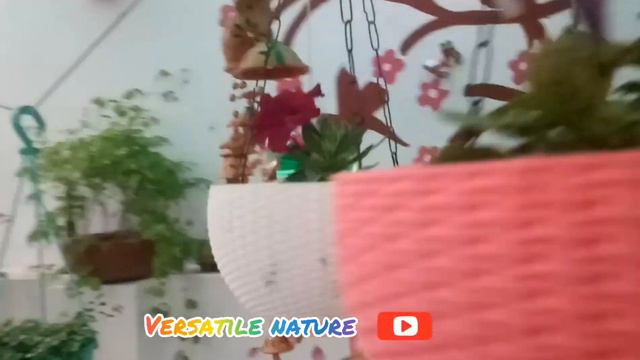 Winter Flowers Seedling Repotting 😍🙏🔔✍ #Versatile_Nature #Gardening #WinterPlantRepotting #Flowers