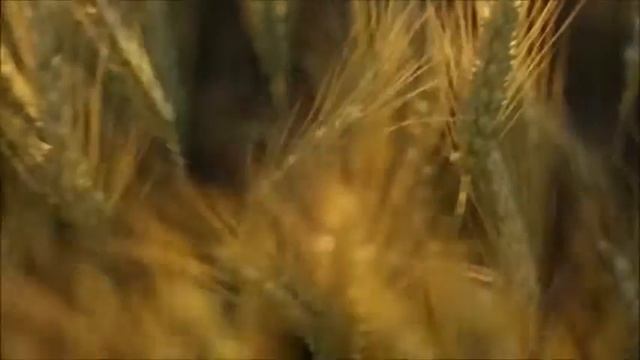 Leman Sam - Var Git Ölüm смотреть онлайн