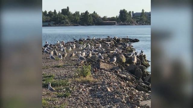Вилла Капитан в Причал 80 | Цены на отдых с детьми и большой компанией в Затока смотреть онлайн